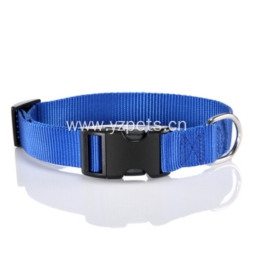 Colorful Nylon Dog Collar